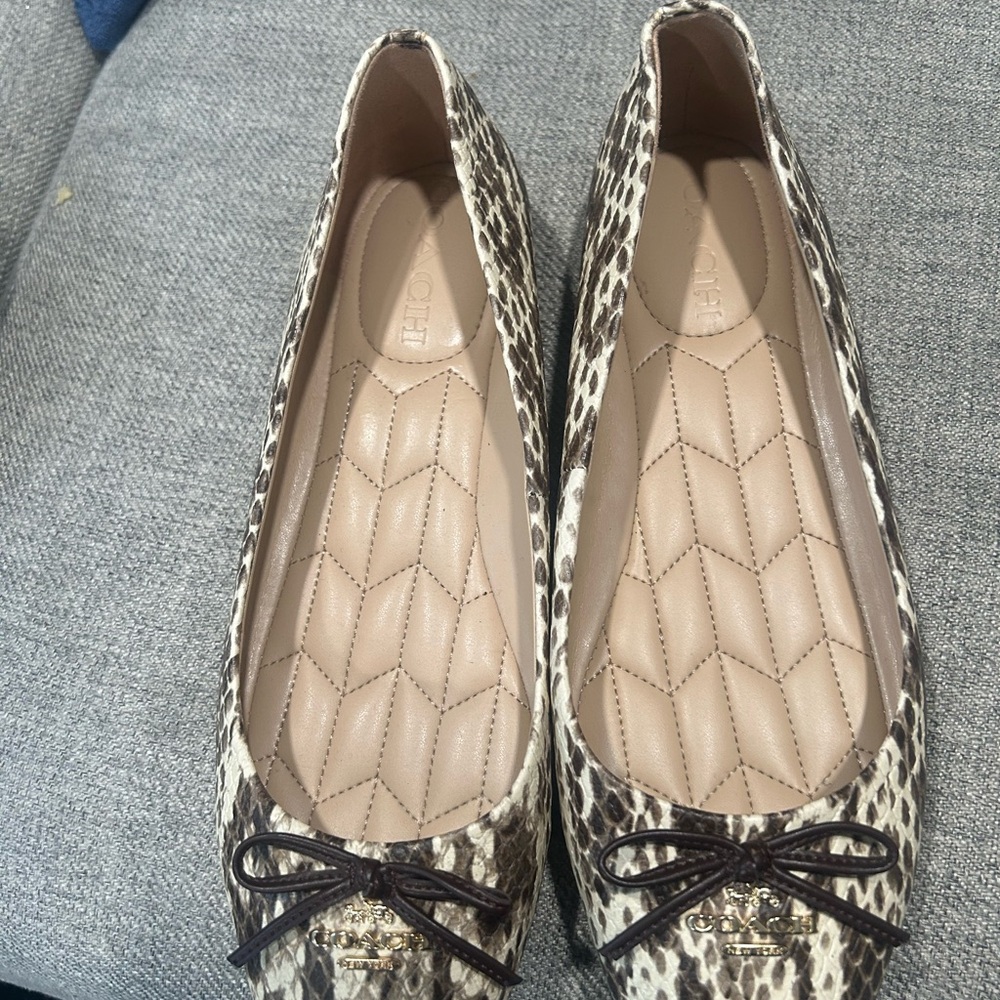 Coach beautiful pointy flat - Picture 6 of 6